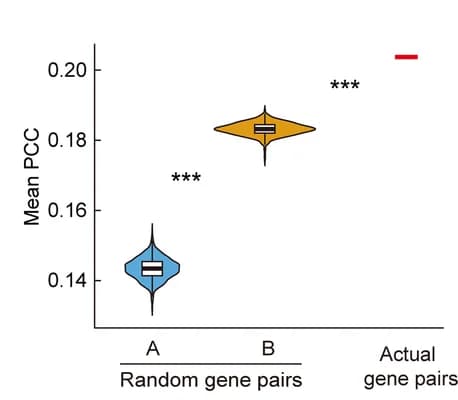 Open access visualization of Violin Plot, Box Plot, Co-expression Analysis, Anchor Gene Pairs, Pearson Correlation Coefficient