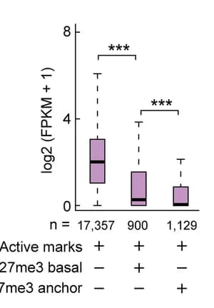 Open access visualization of Box Plot, Gene Expression, Gene Binding, Gene Interaction, Wilcoxon Test