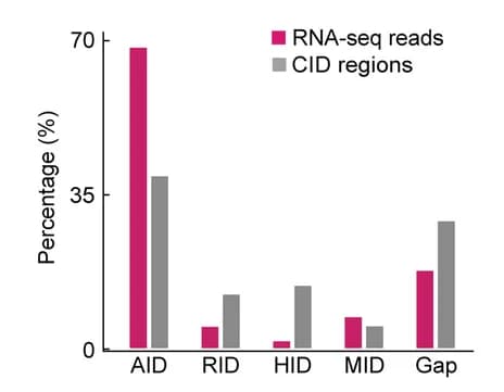 Open access visualization of Bar Plot, Clustered, RNA-seq, Chromatin Interacting Domains, CIDs