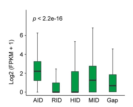 Open access visualization of Box Plot, Transcription Levels, Anchor Genes, Chromatin Interacting Domains, CIDs