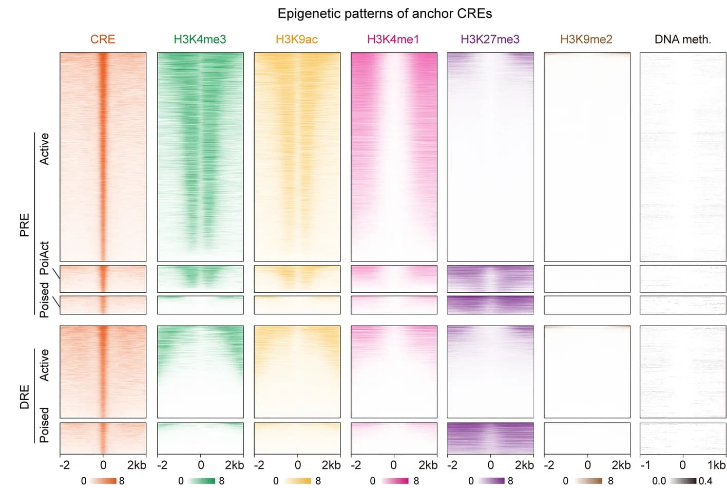 Open access visualization of Heatmap, Epigenome Heatmaps, Epigenome Profiles, Anchor CREs, DNA Methylation