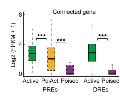 Open access visualization of Box Plot, Boxplots, Expression levels, PREs, DREs