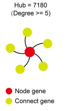 Open access visualization of Network, Chromatin Hub, Chromatin Interactions, H3K4me3