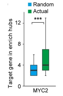 Open access visualization of Box Plot, MYC2 Target Genes, Chromatin Hubs, Wilcoxon Test