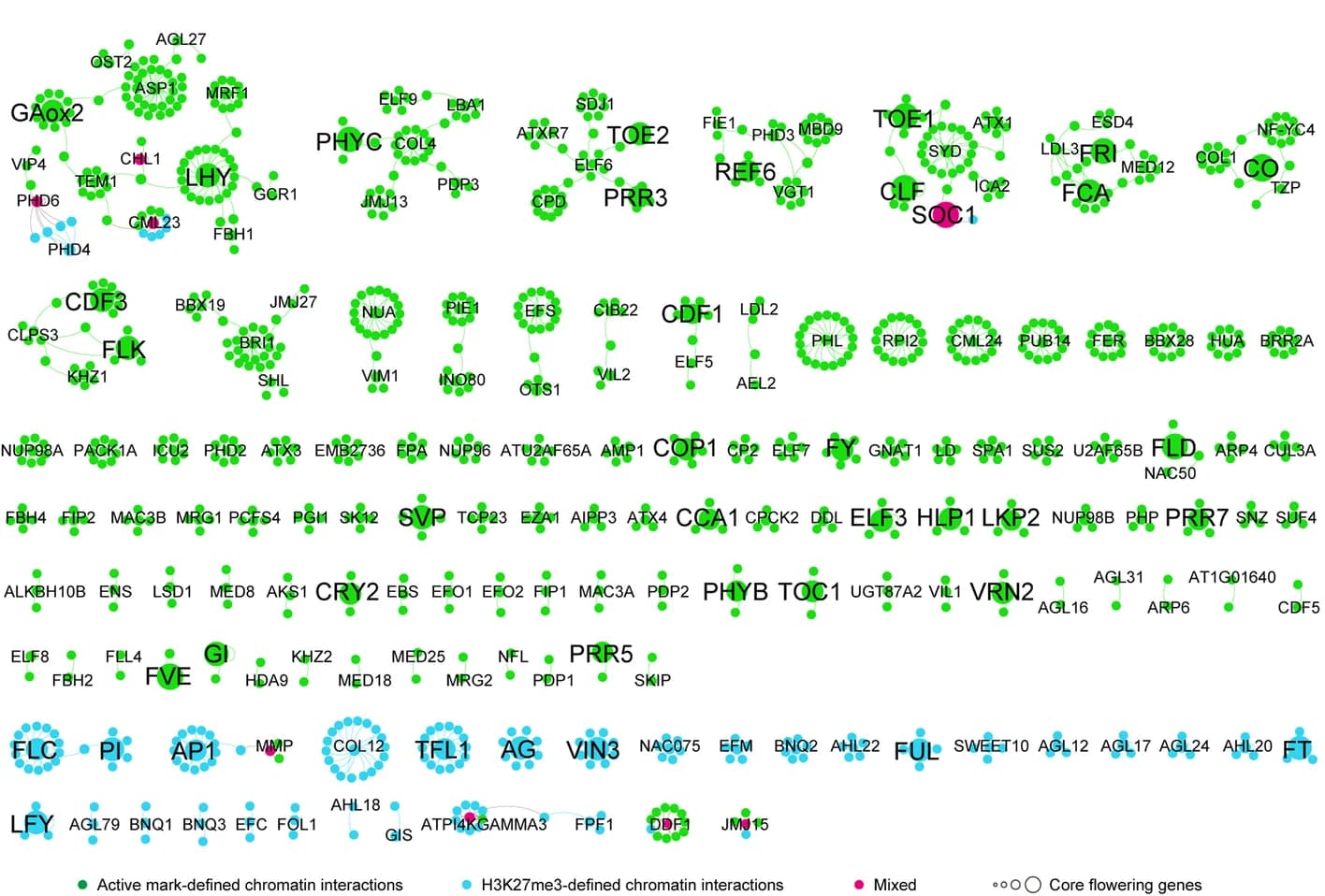Open access visualization of Network, Pathway, Flowering Time Control Genes, Chromatin Connectivity Network, Floral Induction