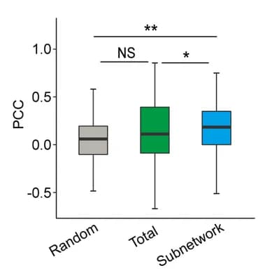Open access visualization of Box Plot, Co-expression Analysis, Genes, Floral Transition, Subnetworks
