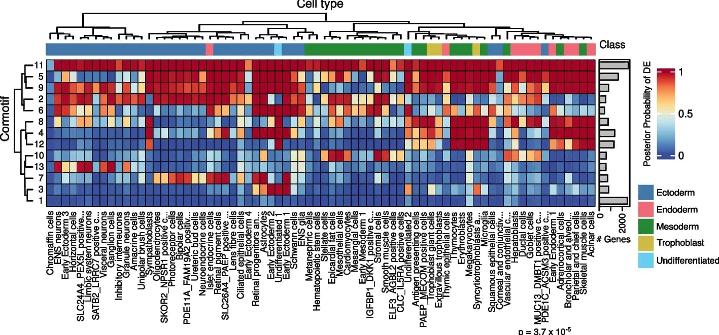 Open access visualization of Heatmap, Clustered, Bar Plot, Correlation Motifs, Cell Types