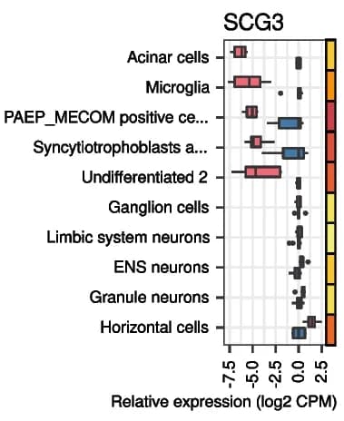 Open access visualization of Box Plot, Heatmap, Boxplots, Gene Expression, Cell Types