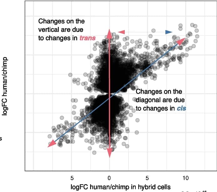 Open access visualization of Scatter Plot, Regression Plot, Gene Expression, Humans, Chimpanzees
