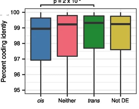 Open access visualization of Box Plot, Coding Identity, Cis Proportion, Gene Expression