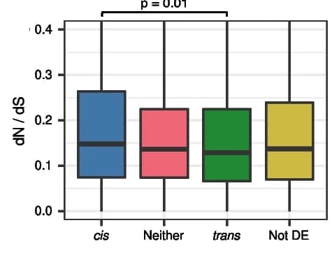 Open access visualization of Box Plot, dN/dS, Cis Proportion, Gene Expression