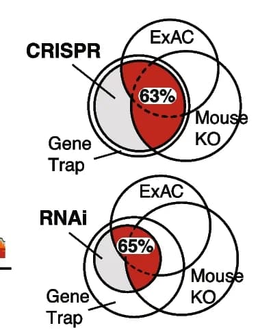 Open access visualization of Venn Diagram, Pan-dependencies, CRISPR, RNAi, Essential Genes