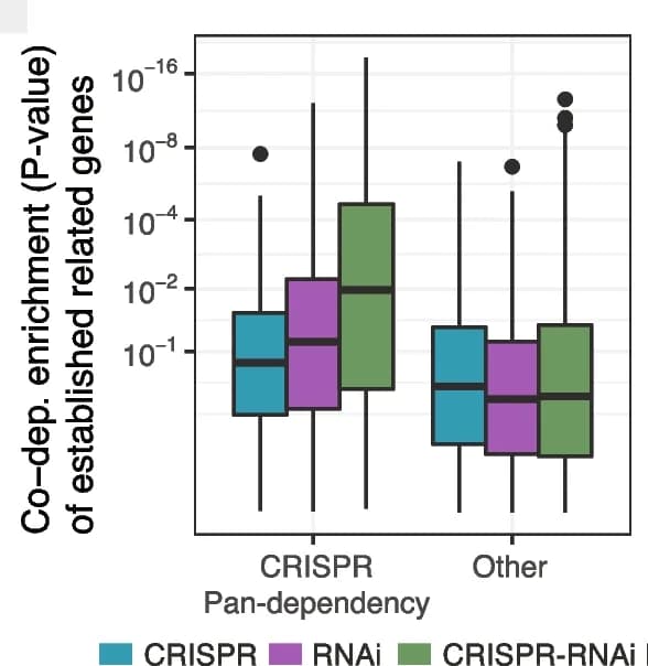 Open access visualization of Box Plot, CRISPR, RNAi, Co-dependencies, Query gene