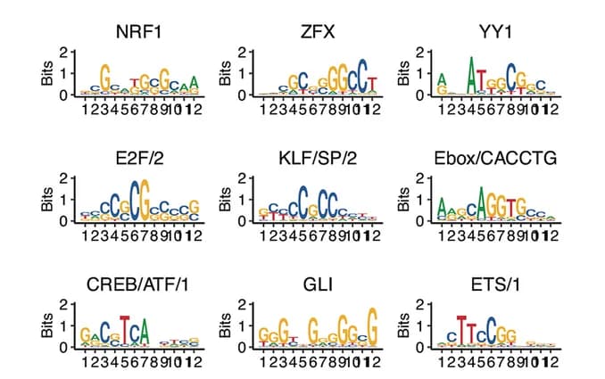 Open access visualization of Illustration, Motif logos, Motif clusters