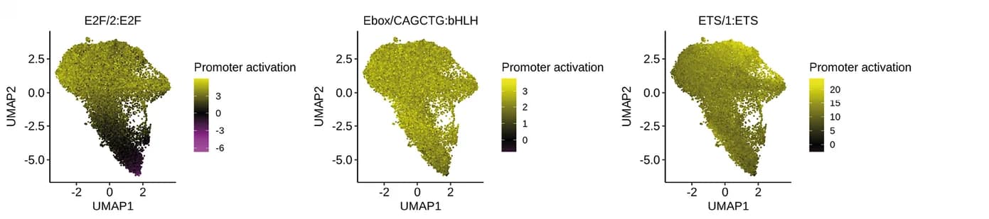 Open access visualization of UMAP, Scatter Plot, Promoters, Motif Occurrences, ELU