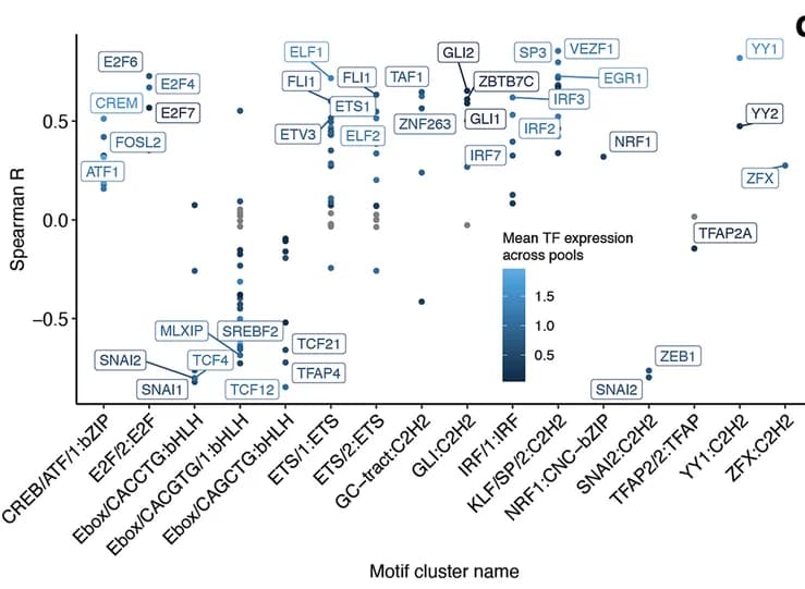 Open access visualization of Scatter Plot, Spearman Correlation, Motif Influence Scores, Expression Levels, Transcription Factors