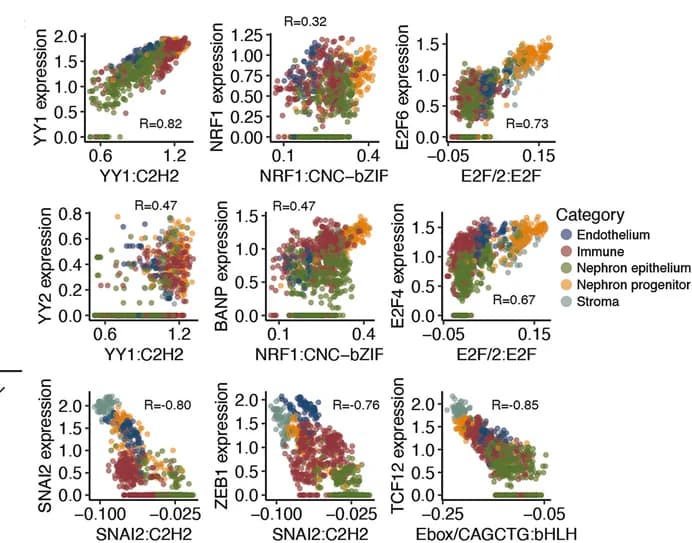 Open access visualization of Scatter Plot, Regression Plot, Correlation, Motif Influence, Expression