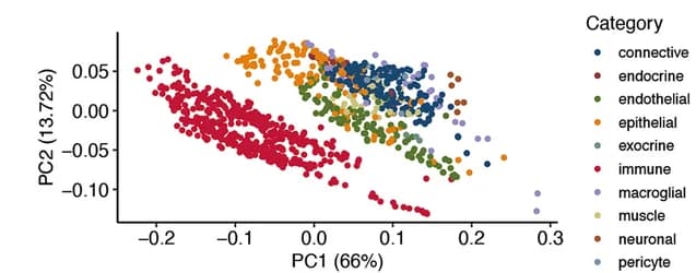 Open access visualization of Scatter Plot, PCA, Principal Components, Motif Influence Matrix