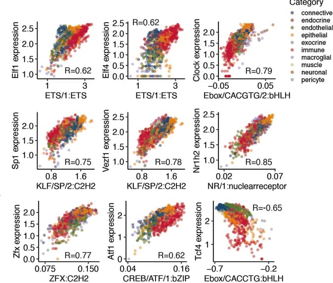 Open access visualization of Scatter Plot, Correlation, Motif Family, Expression, Transcription Factors
