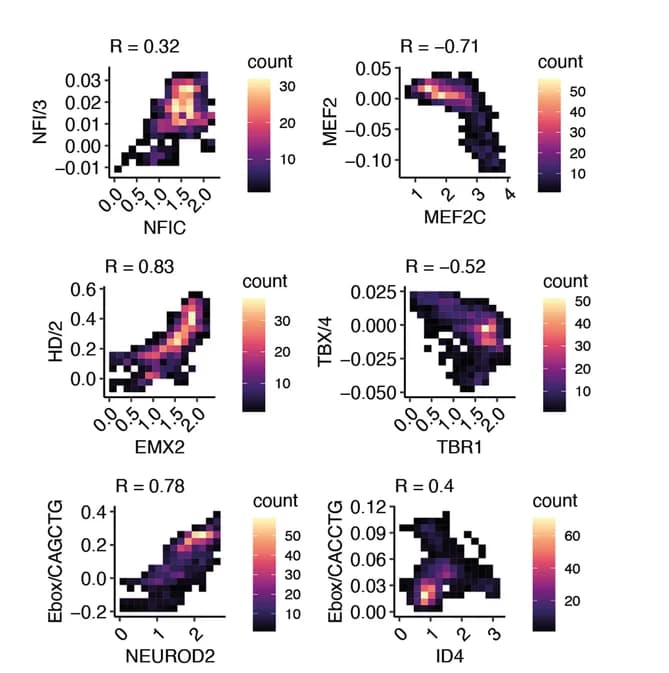 Open access visualization of Scatter Plot, Heatmap, 2D Histograms, TF Expression, Cell Pools