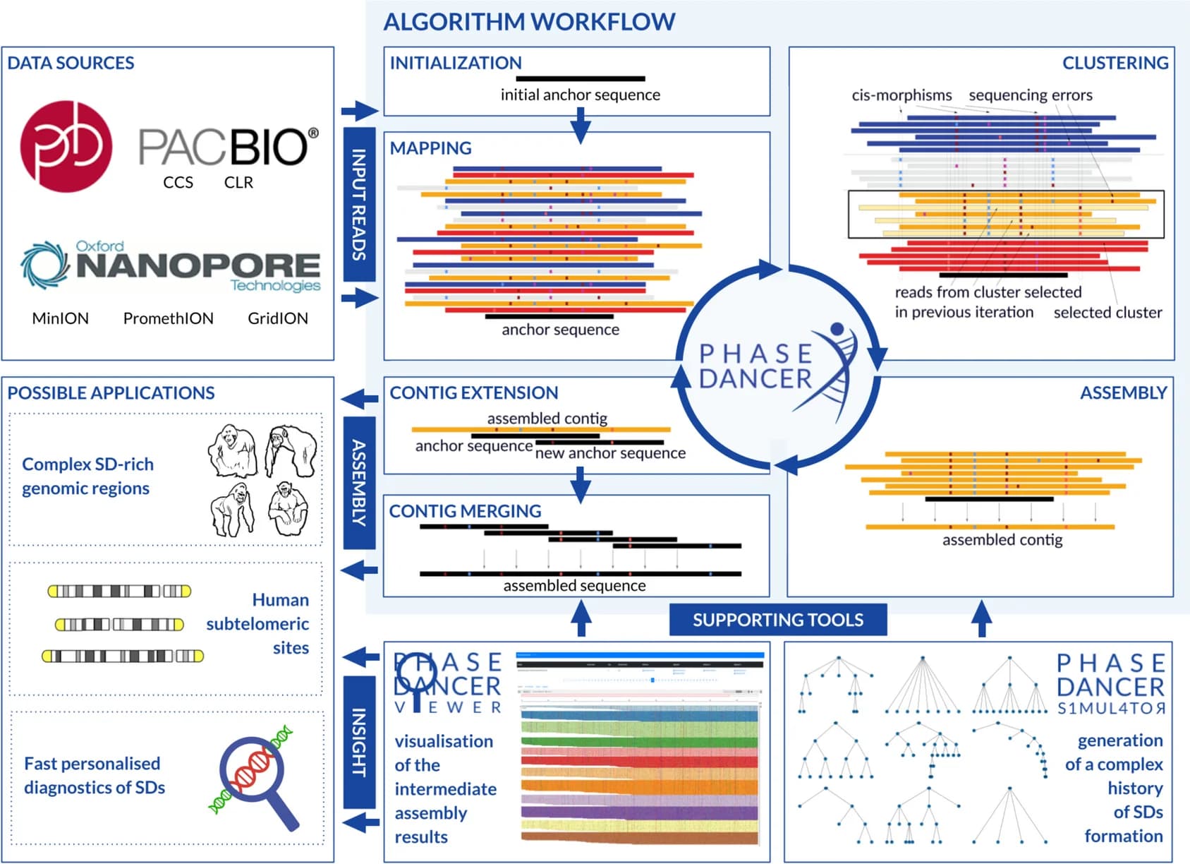 Open access visualization of Workflow, Illustration, PhaseDancer, Algorithm, Next Generation Sequencing