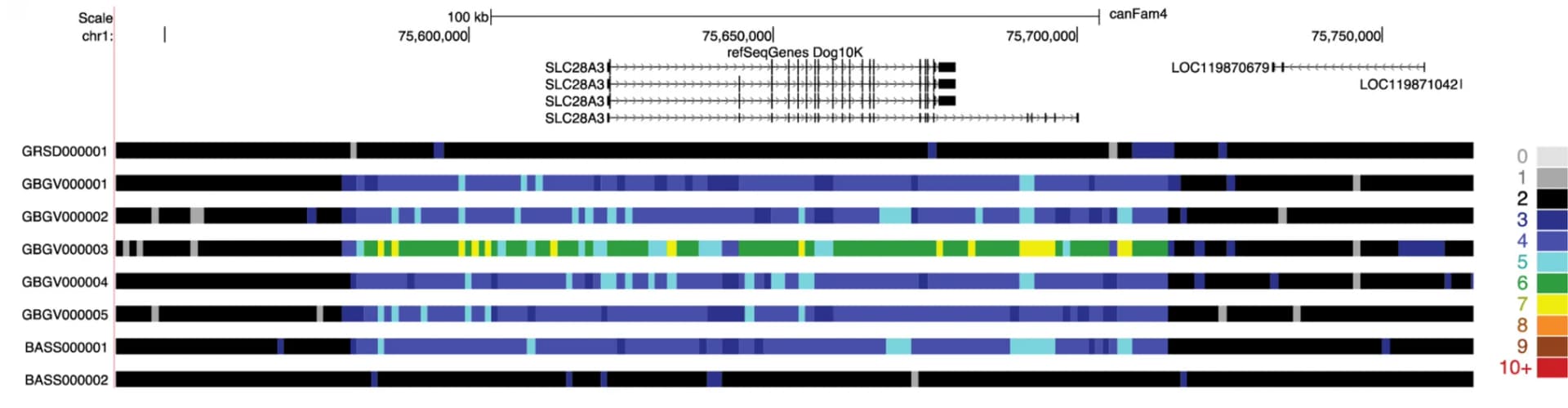 Open access visualization of Line Plot, Stacked Bar Plot, Copy Number, Grand Basset Griffon Vendeen, Basset Hound