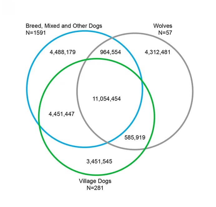 Open access visualization of Venn Diagram, SNV Sharing, Samples