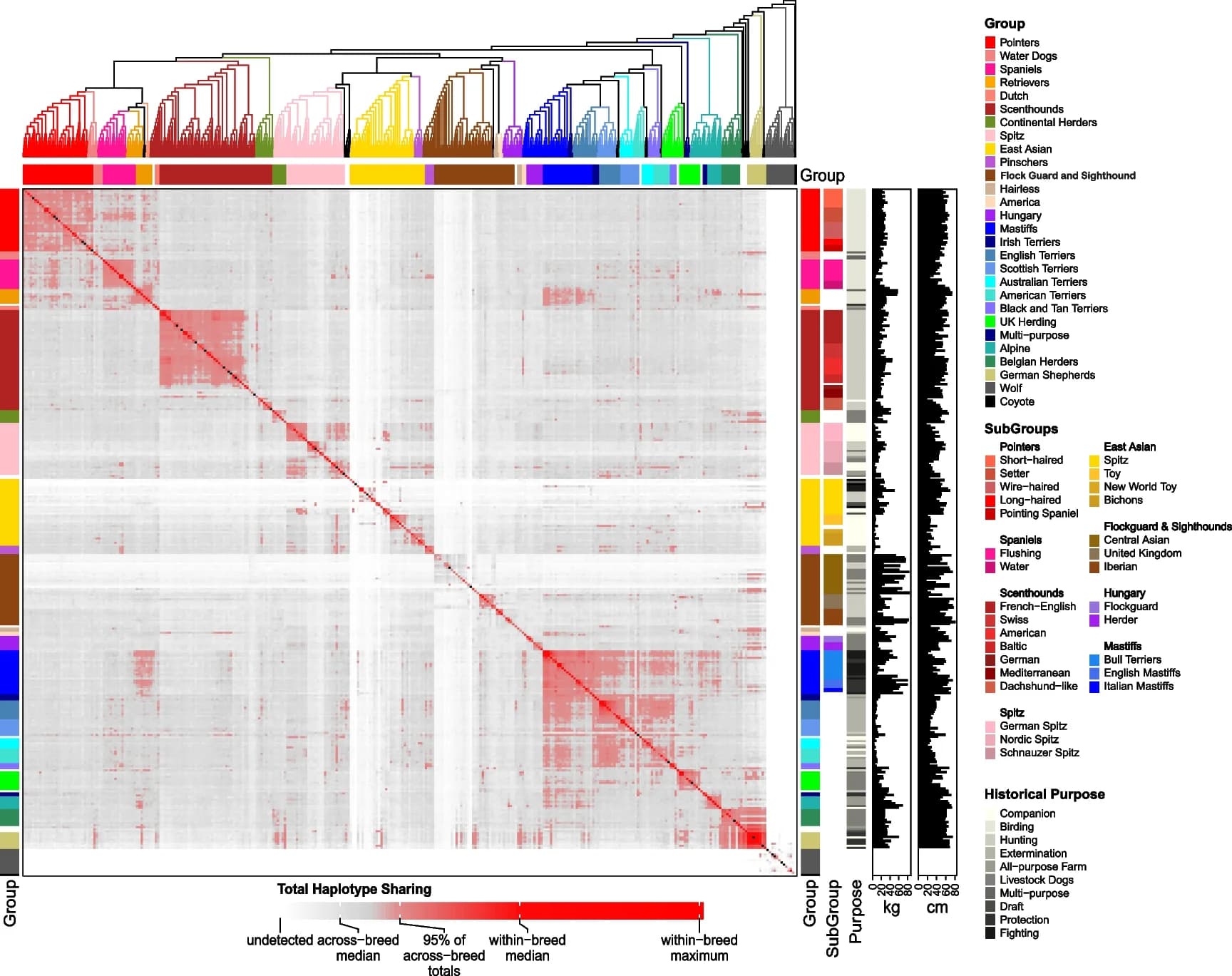 Open access visualization of Heatmap, Clustered, Bar Plot, Genetic Relationships, Samples