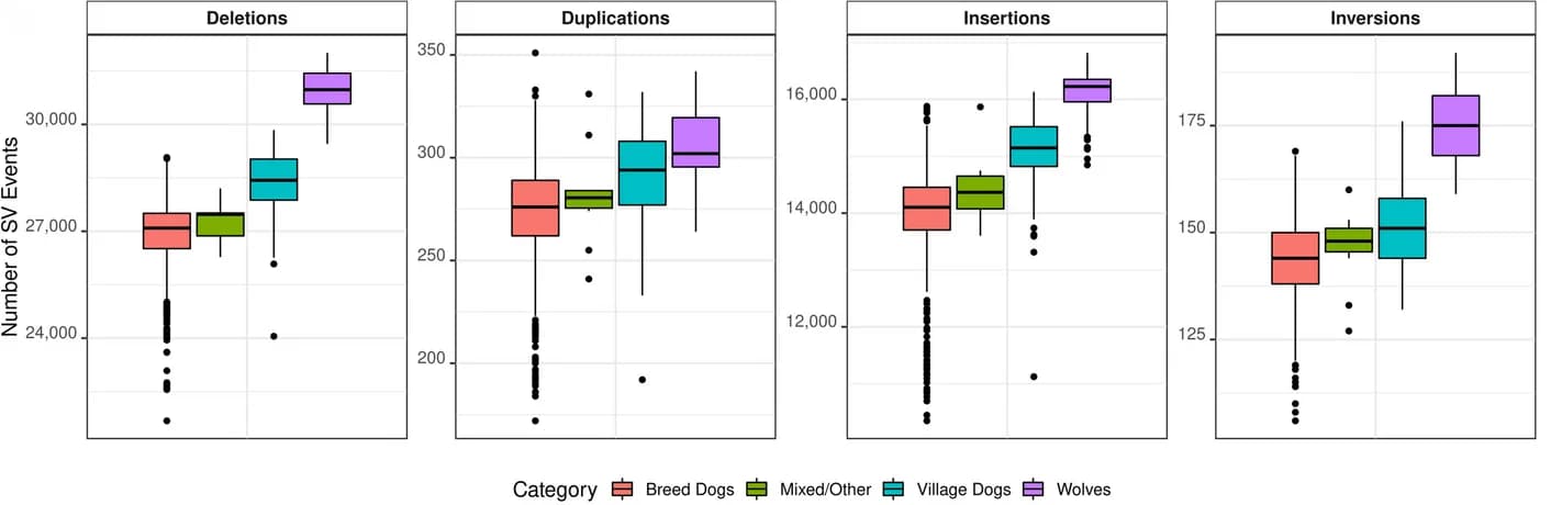 Open access visualization of Box Plot, Deletion, Duplication, Insertion, Inversion