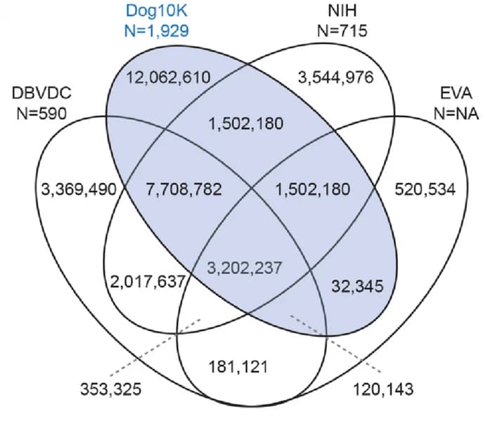 Open access visualization of Venn Diagram, Variable Positions, Databases