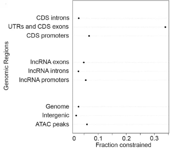 Open access visualization of Scatter Plot, Genome Spaces, Constraint, FDR, phyloP