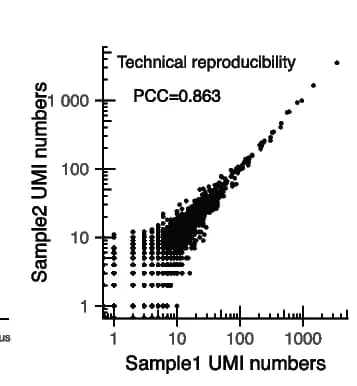 Open access visualization of Scatter Plot, Regression Plot, LAST-seq data, Technical reproducibility, Pearson's correlation coefficient