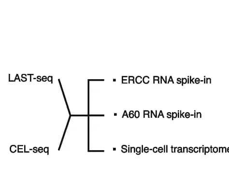 Open access visualization of Flowchart, Workflow, Experimental Schematic, LAST-seq, CEL-seq