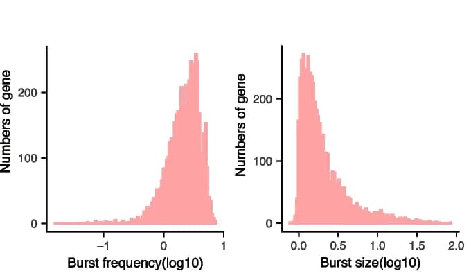 Open access visualization of Histogram, Transcriptome, Burst Frequency, Burst Size, Human Genes