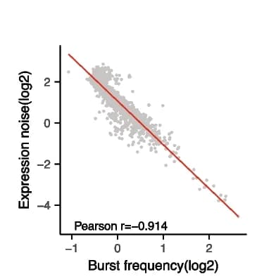 Open access visualization of Scatter Plot, Regression Plot, Expression Noise, Burst Frequency