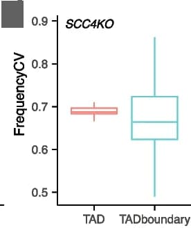 Open access visualization of Box Plot, Burst Frequency, Genes, TADs, TAD Boundaries