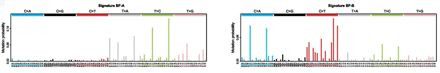 Open access visualization of Bar Plot, SBS Signatures, Mutational Spectra, Single Base Substitution