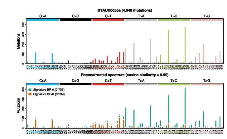 Open access visualization of Bar Plot, Error Bars, SBS Mutation Spectra, Mutation Rate