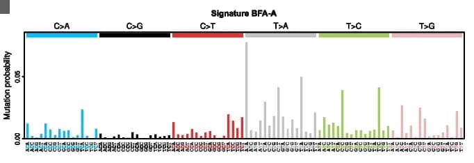 Open access visualization of Bar Plot, Single Base Substitution, SBS Signatures, Bracken Extract