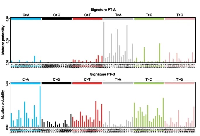 Open access visualization of Bar Plot, SBS Signatures, Ptaquiloside, Bovine Signature