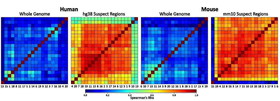 Open access visualization of Heatmap, Spearman Correlation, Negative Control Samples, Human, Mouse