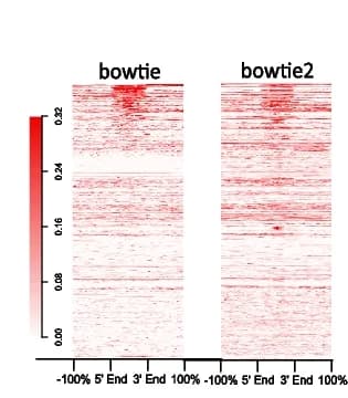 Open access visualization of Heatmap, Signal Enrichment Plots, hg38 Suspect List Regions, Human Negative Control Sample, Bowtie