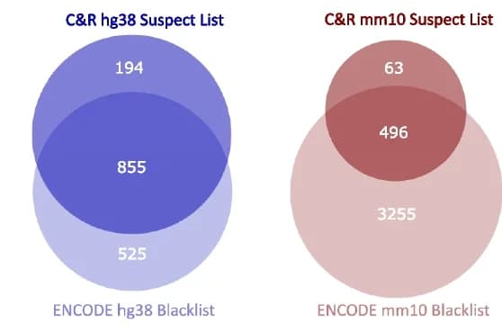 Open access visualization of Venn Diagram, Overlapping regions, hg38, mm10, CUT&RUN