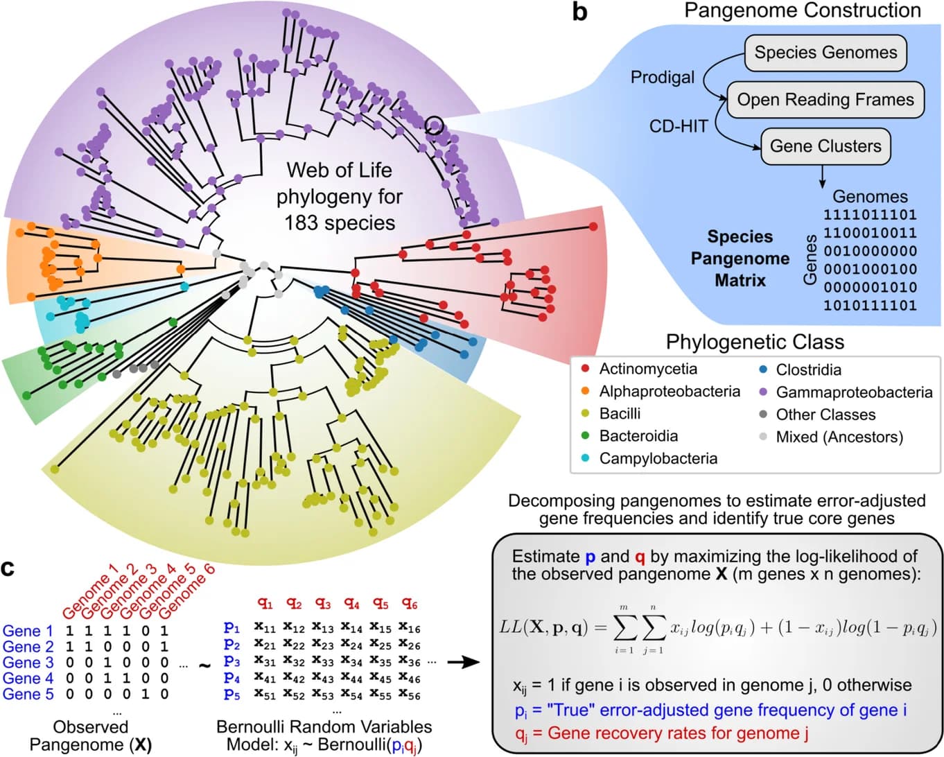 Open access visualization of Workflow, Flowchart, Phylogenetic Tree, Species, Genome