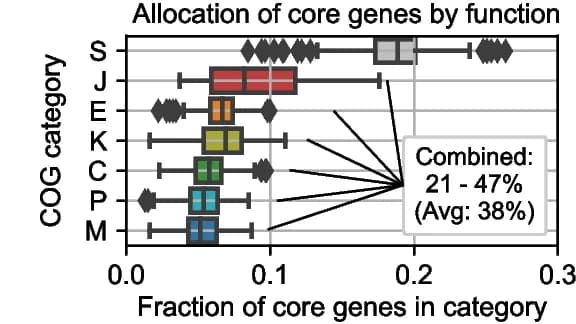 Open access visualization of Box Plot, Core Genes, Functional Categories