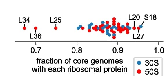Open access visualization of Scatter Plot, Core Genomes, Ribosomal Protein