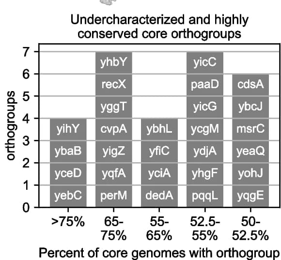 Open access visualization of Bar Plot, Orthogroups, Core Genomes
