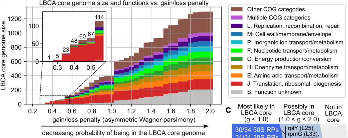 Open access visualization of Stacked Bar Plot, LBCA core genome, Gain/loss penalty ratio, Ancestral reconstruction, Functional categories