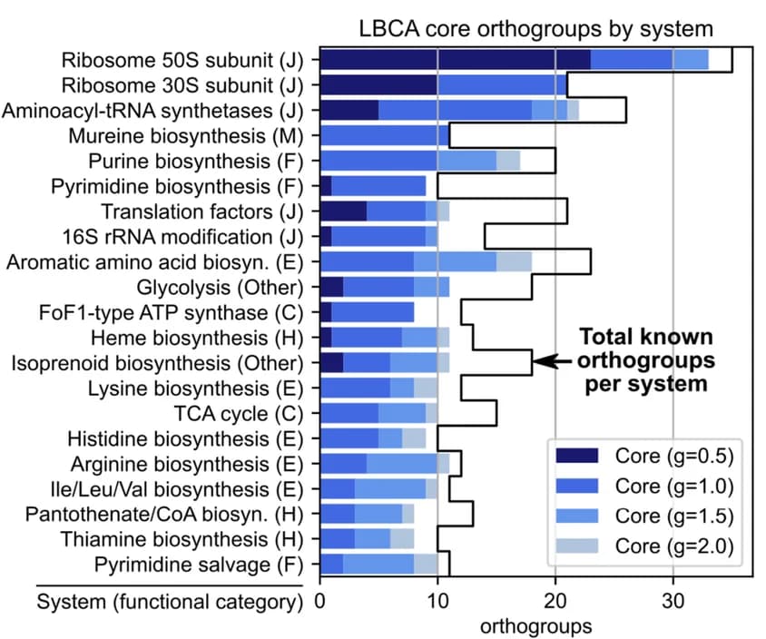Open access visualization of Bar Plot, Stacked Bar Plot, Line Plot, LBCA core orthogroups, Biological system