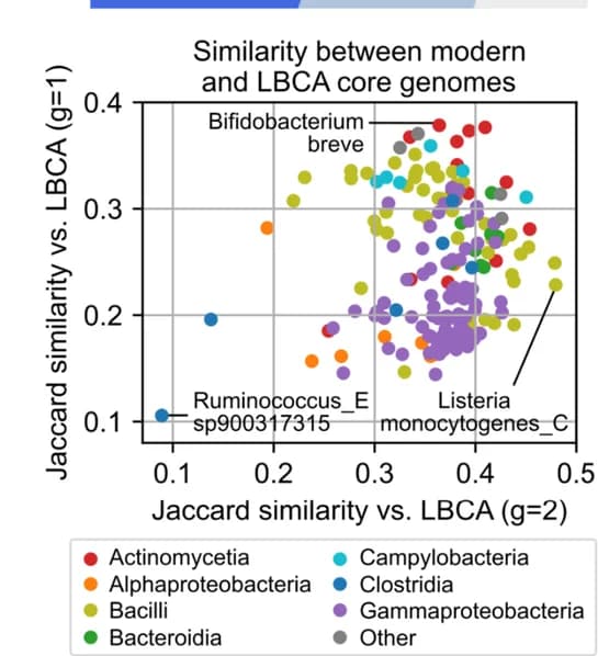 Open access visualization of Scatter Plot, Jaccard similarity, LBCA core genomes, Phylogenetic class, Core genomes